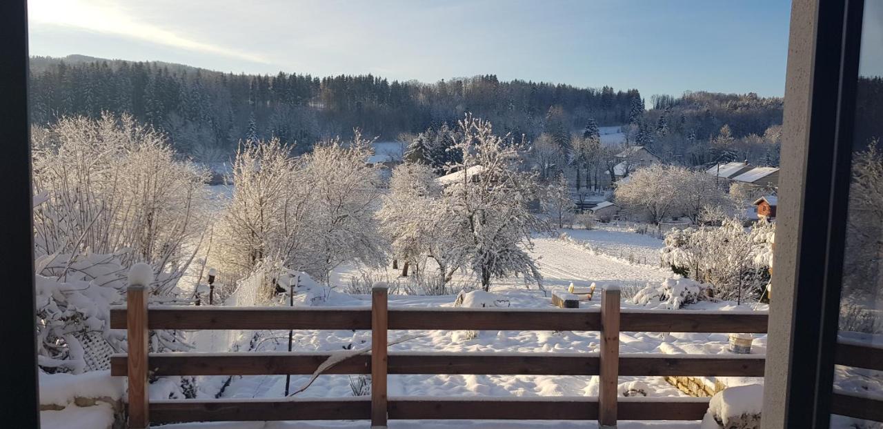 Le Jura En Toutes Saisons Piscine, Spa, Location Vtt, Balades 2Cv, Climatisation Bonlieu Eksteriør bilde
