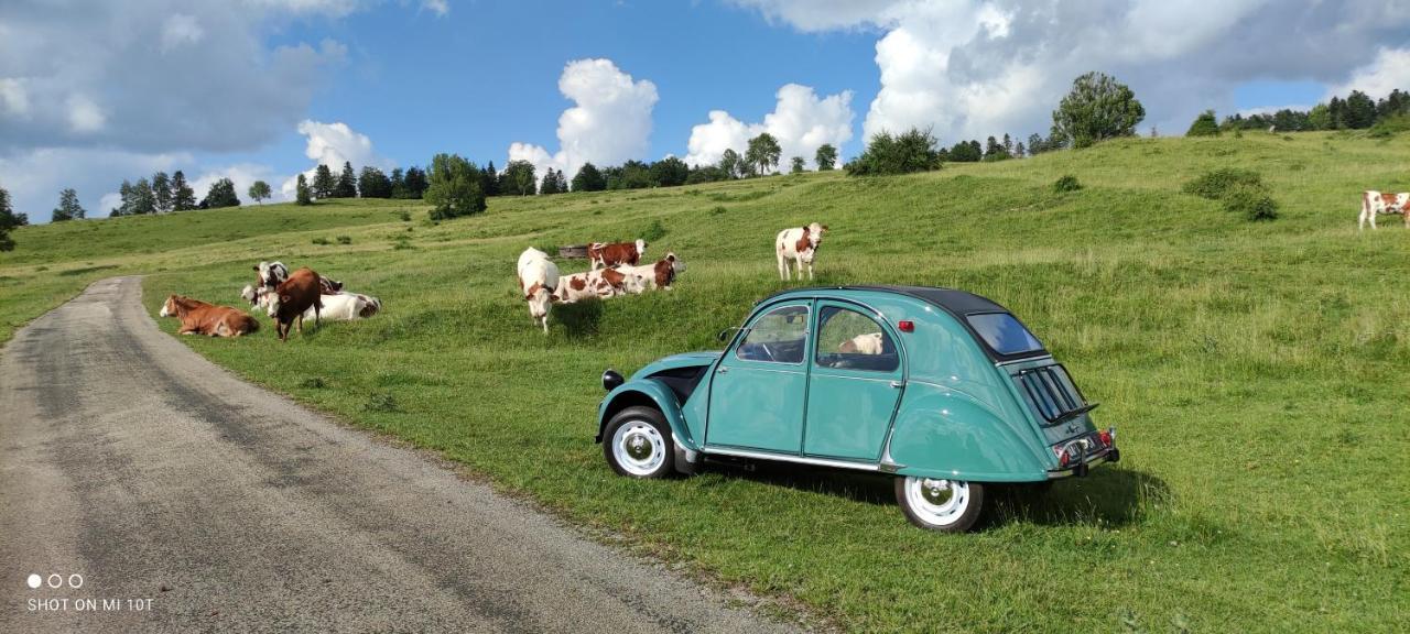 Le Jura En Toutes Saisons Piscine, Spa, Location Vtt, Balades 2Cv, Climatisation Bonlieu Eksteriør bilde